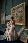 Silver Embroidered Lehenga
